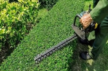 A person using an electric hedge trimmer on a green lawn.