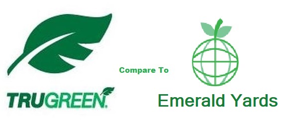 Trugreen Vs Emerald Yards, Trugreen Landscaping Ltd