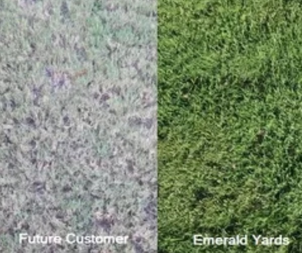 A picture of grass and turf with different colors.