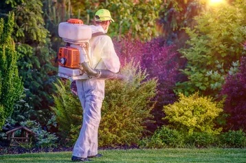 A man spraying plants with a pesticide.