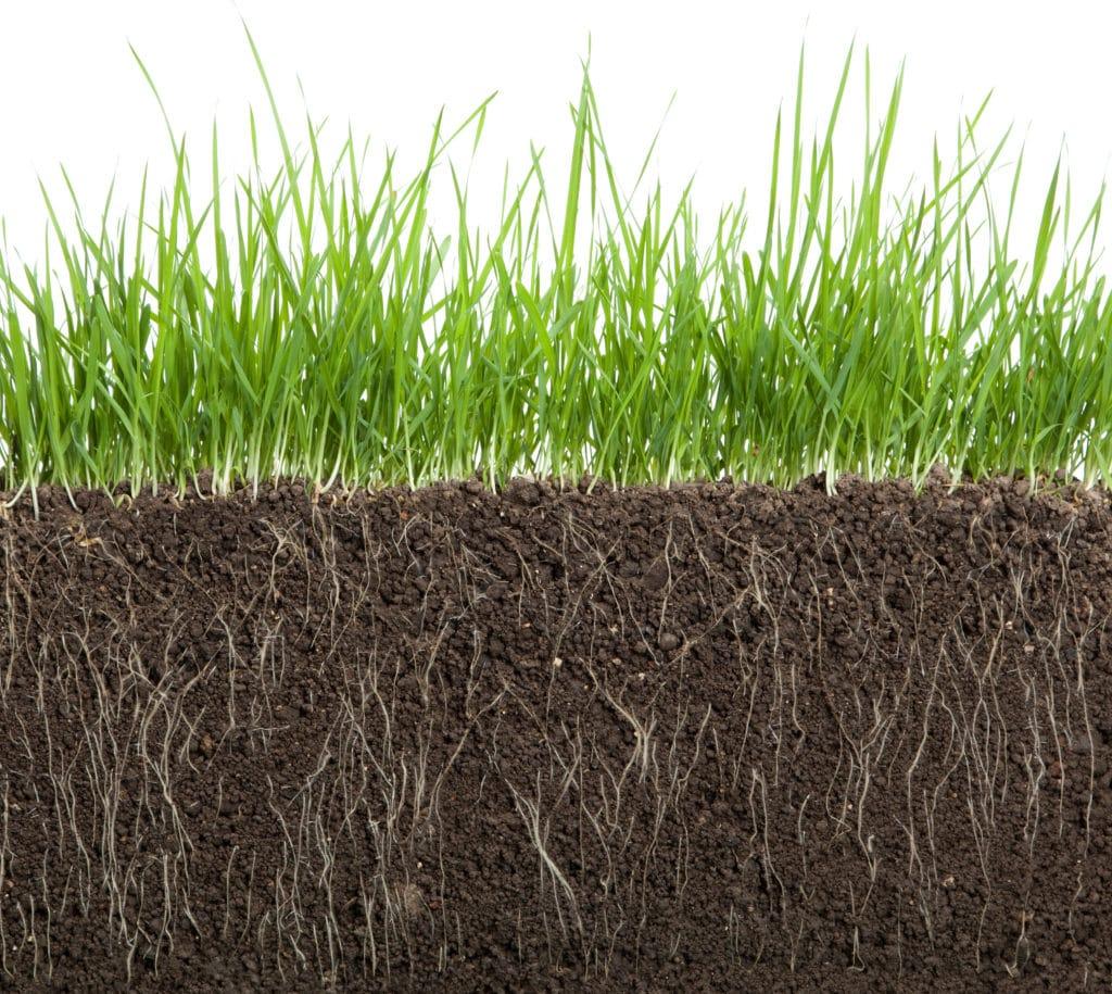 A close up of grass and dirt with white background