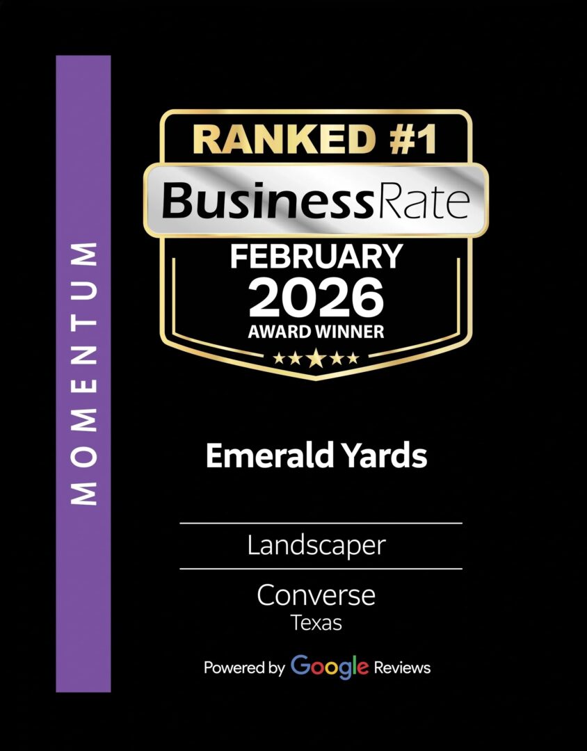 Award plaque with a gold badge reading “Ranked #1 BusinessRate February 2026 Award Winner.” Below, it says “Emerald Yards, Transform your yard—Landscaper, Converse, Texas.” Momentum is on a purple stripe. Powered by Google Reviews.