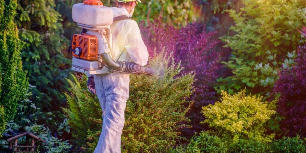 A man spraying bushes with a backpack sprayer.
